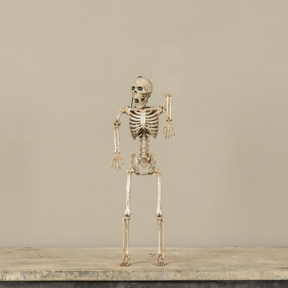 Poseable Skeleton