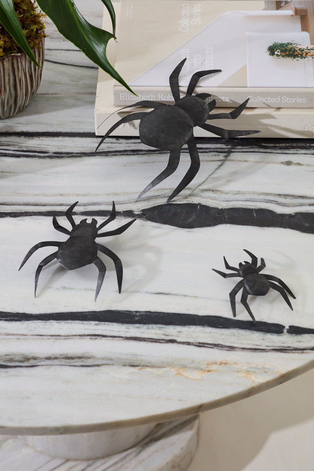 Lg Widow Spider Wall Decor