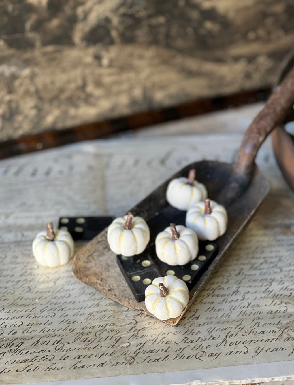 Copperfield Pumpkin - Cream