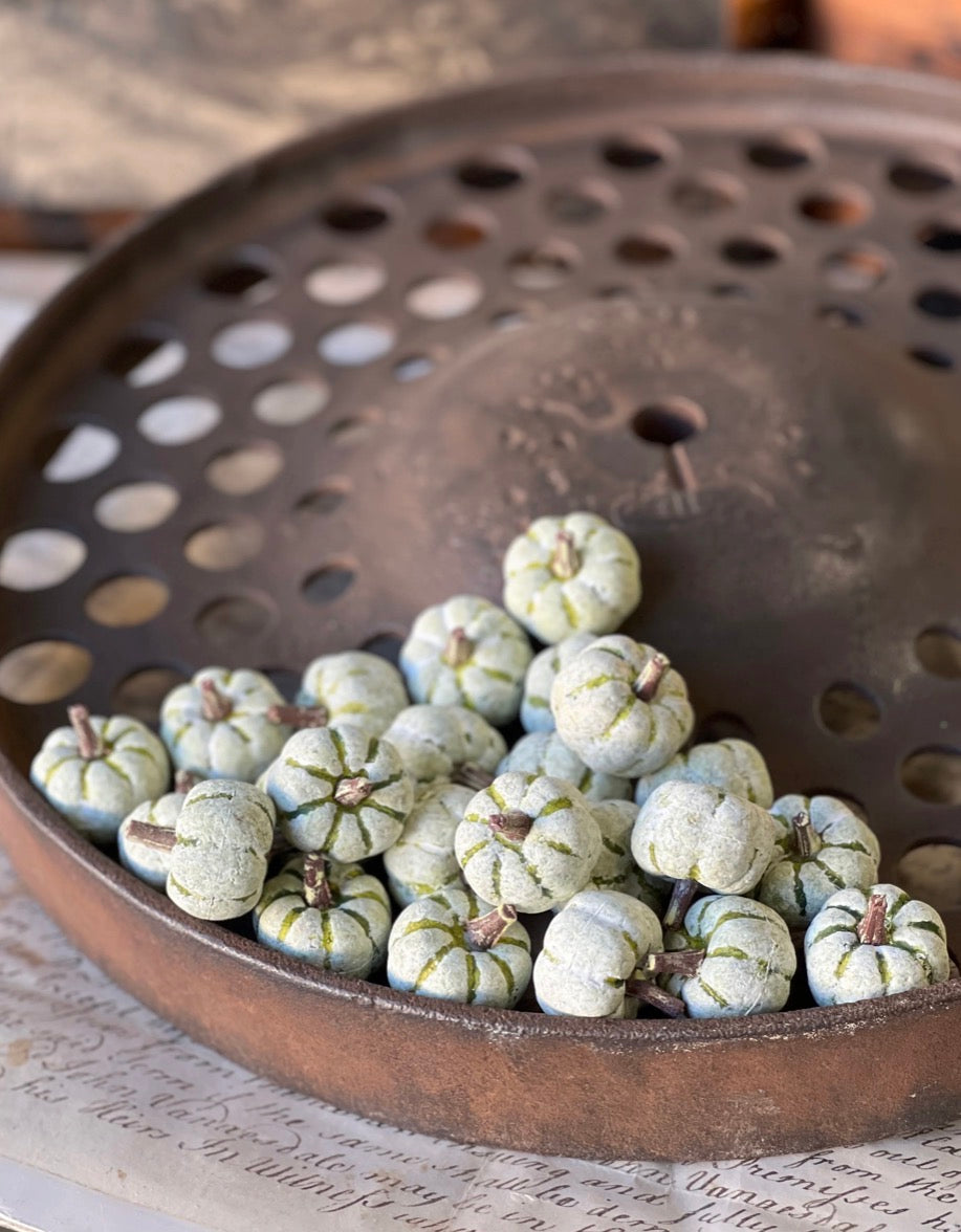 Copperfield Pumpkin - Green