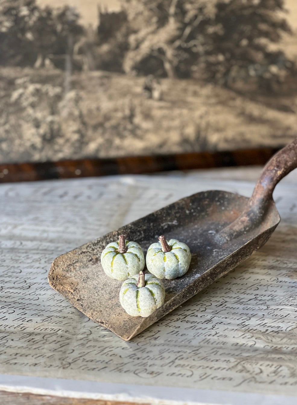 Copperfield Pumpkin - Green