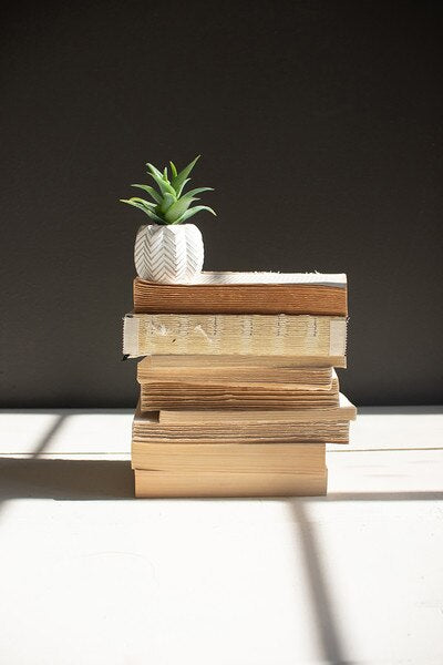 Repurposed Book Bundle