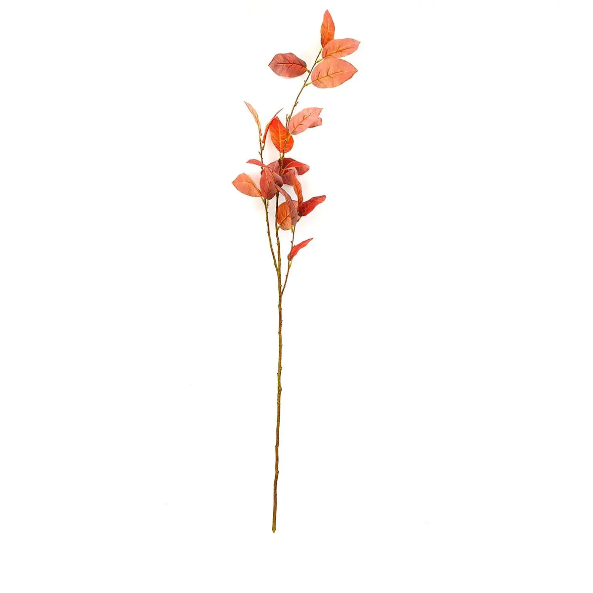 Cinnamon Salal Leaf Stem