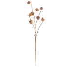 Pomegranate Branch Amber