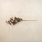 34.5" Brown Eucalyptus Leaf Spray