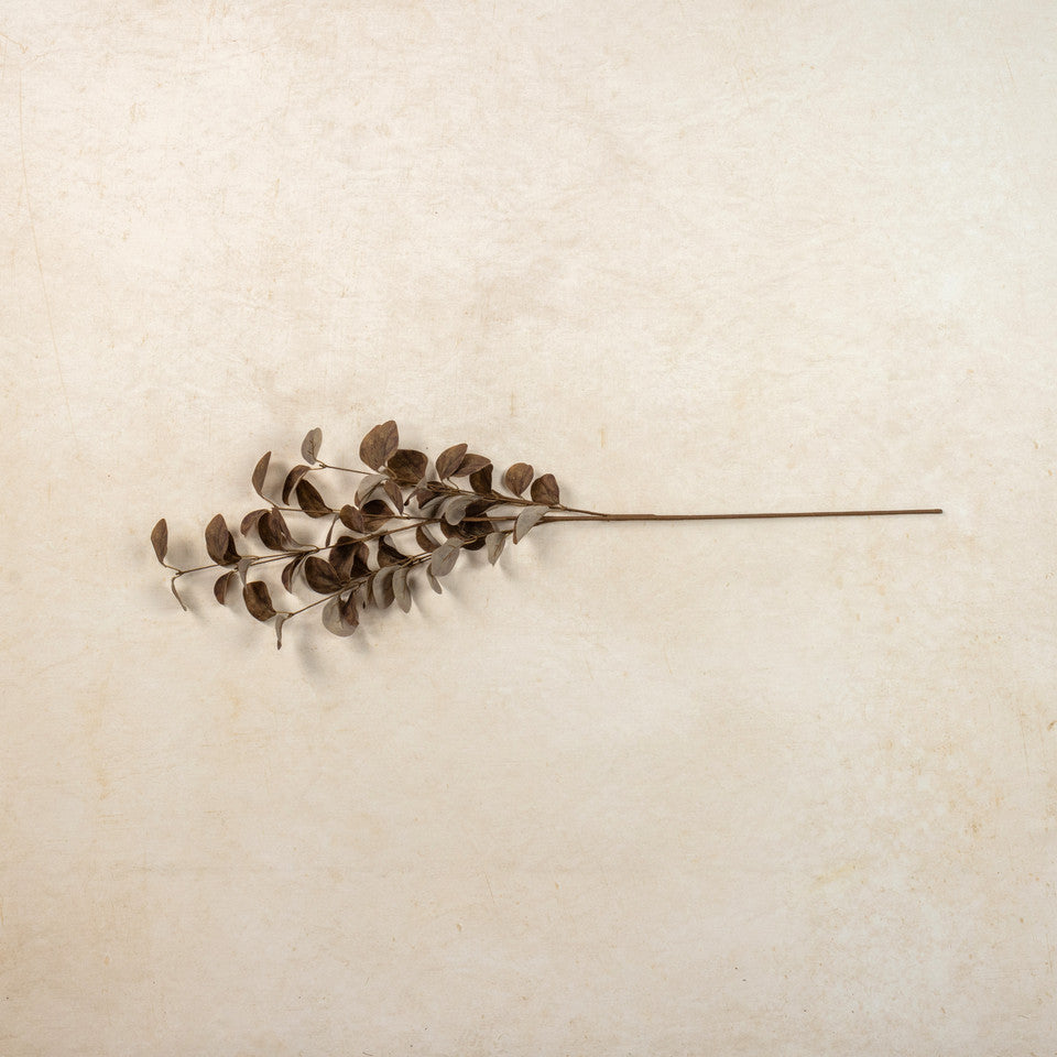 34.5" Brown Eucalyptus Leaf Spray