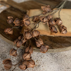 38" Brown Chinese Lantern Spray