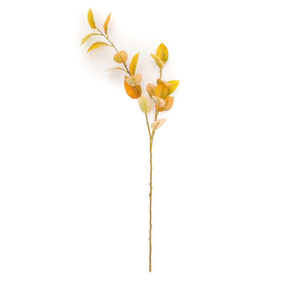 Amber Salal Leaf Stem