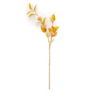 Amber Salal Leaf Stem