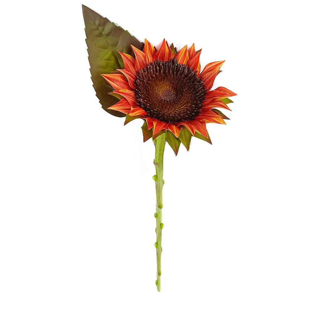 Paprika Sunflower Cutting Stem