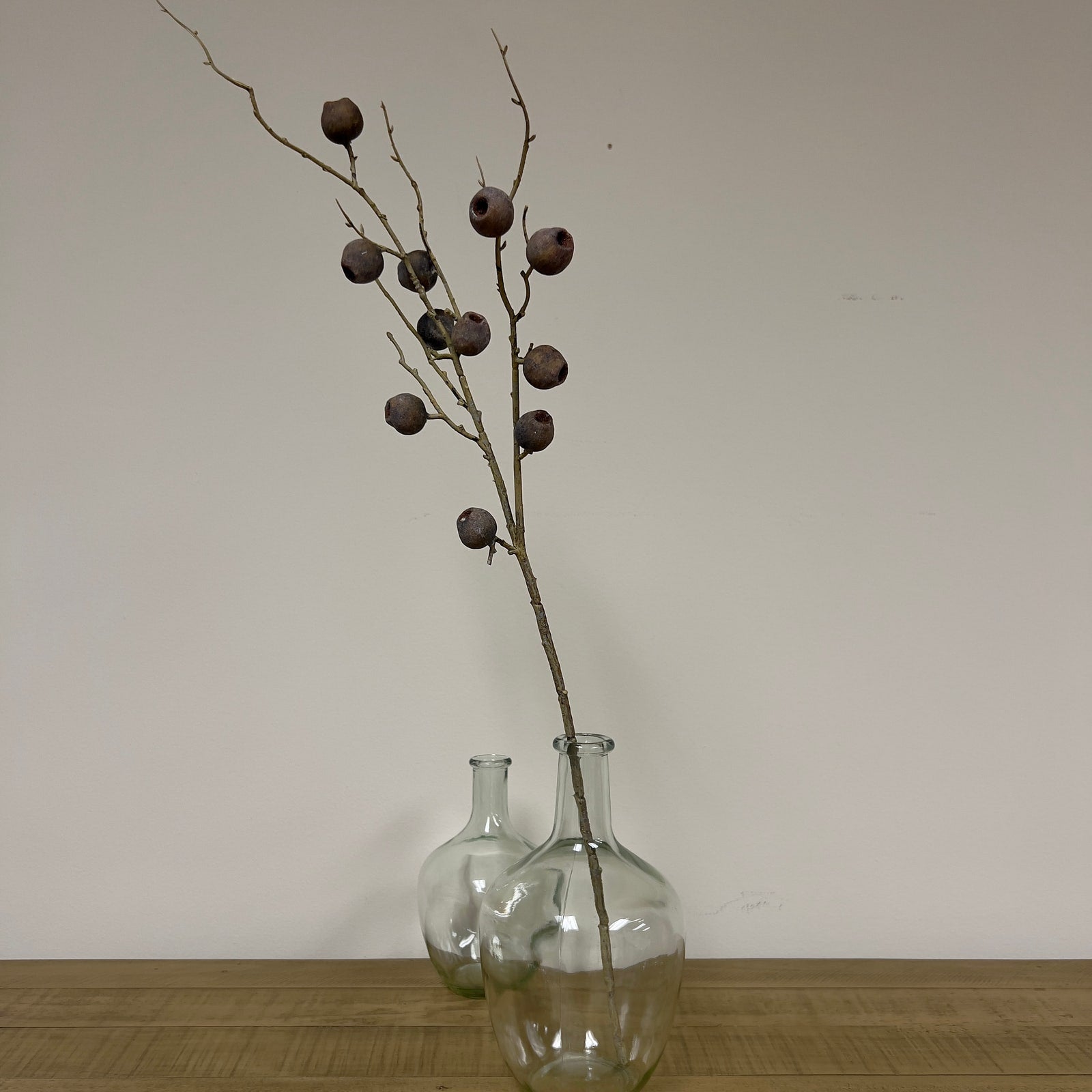 Autumn Pod Bronze