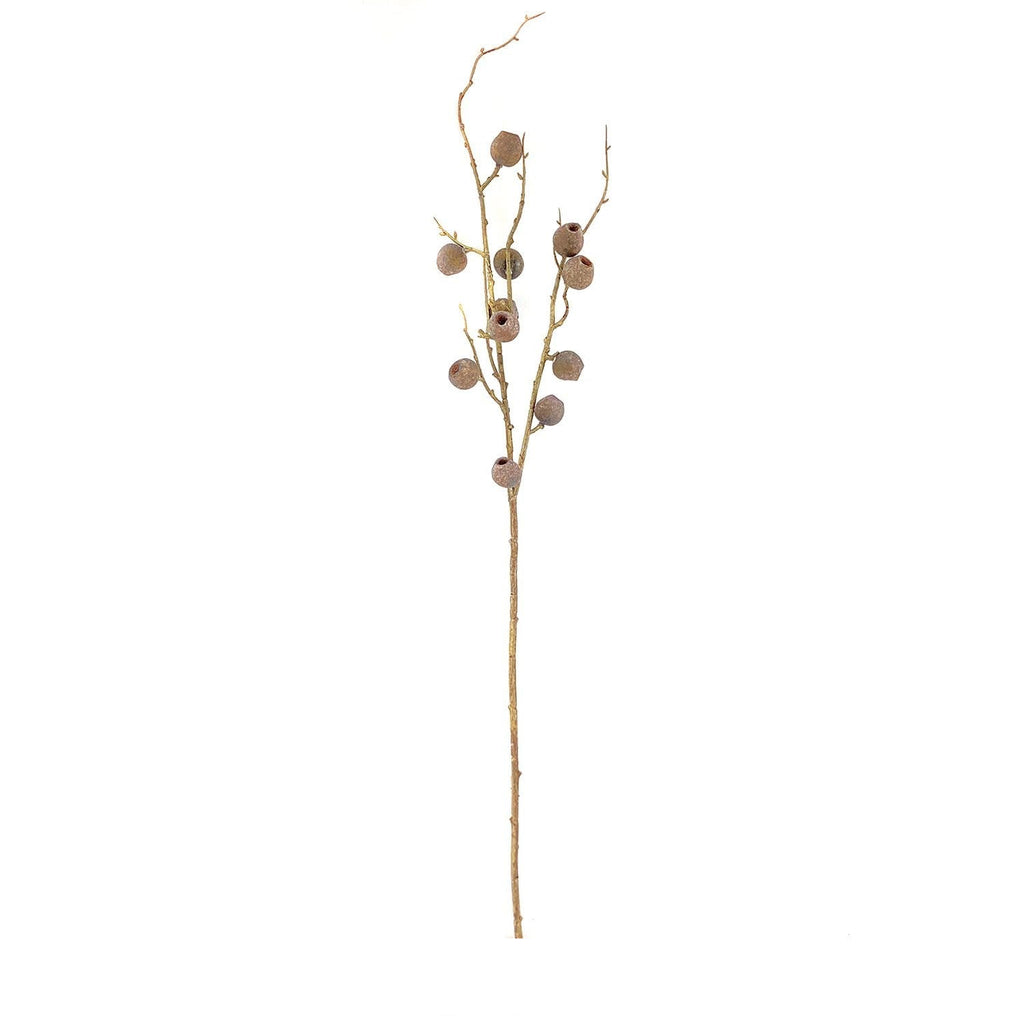 Autumn Pod Bronze