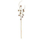 Autumn Pod Bronze