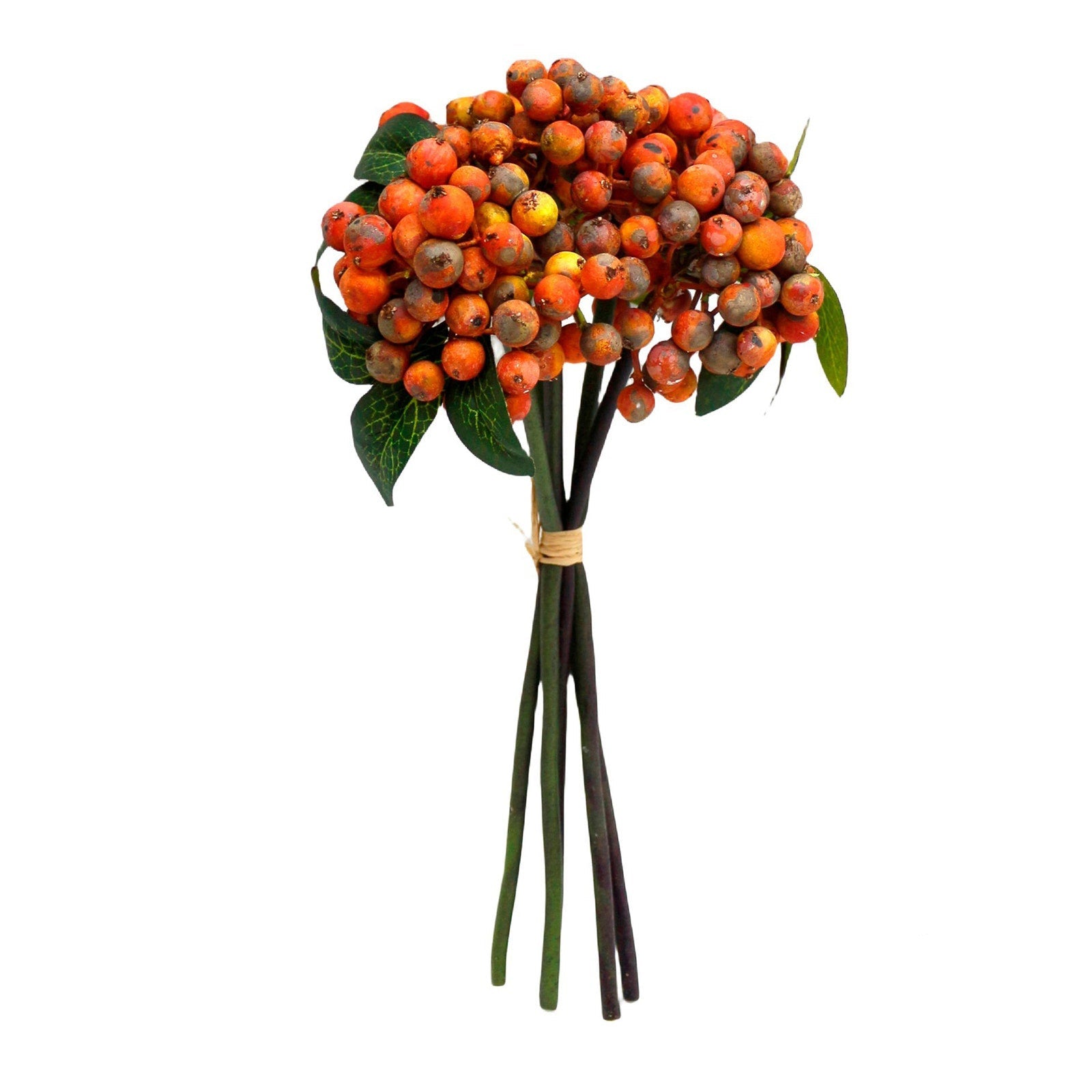 Orange berry Bundle