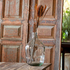 Banksia Protea Coffee