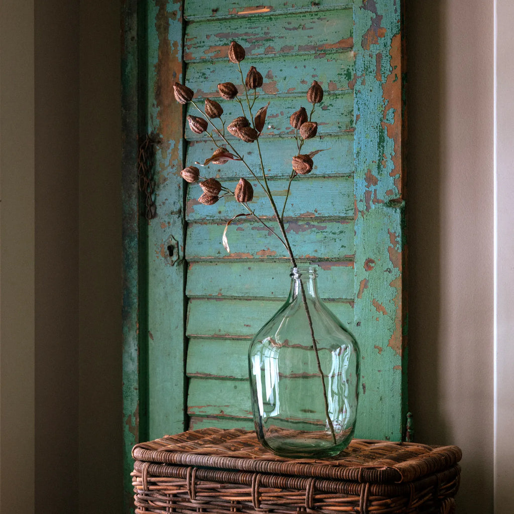 Chinese Lantern Stem - Brown