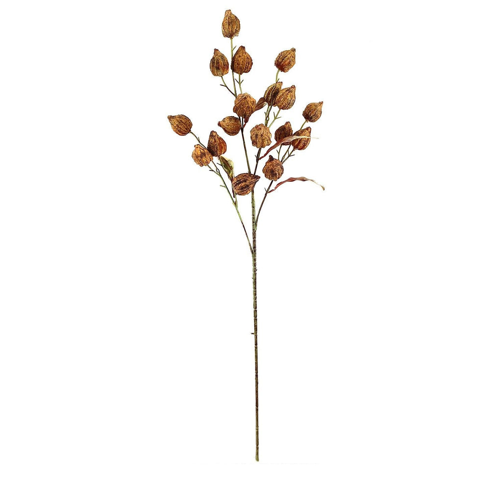 Chinese Lantern Stem - Brown