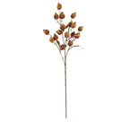 Chinese Lantern Stem - Brown