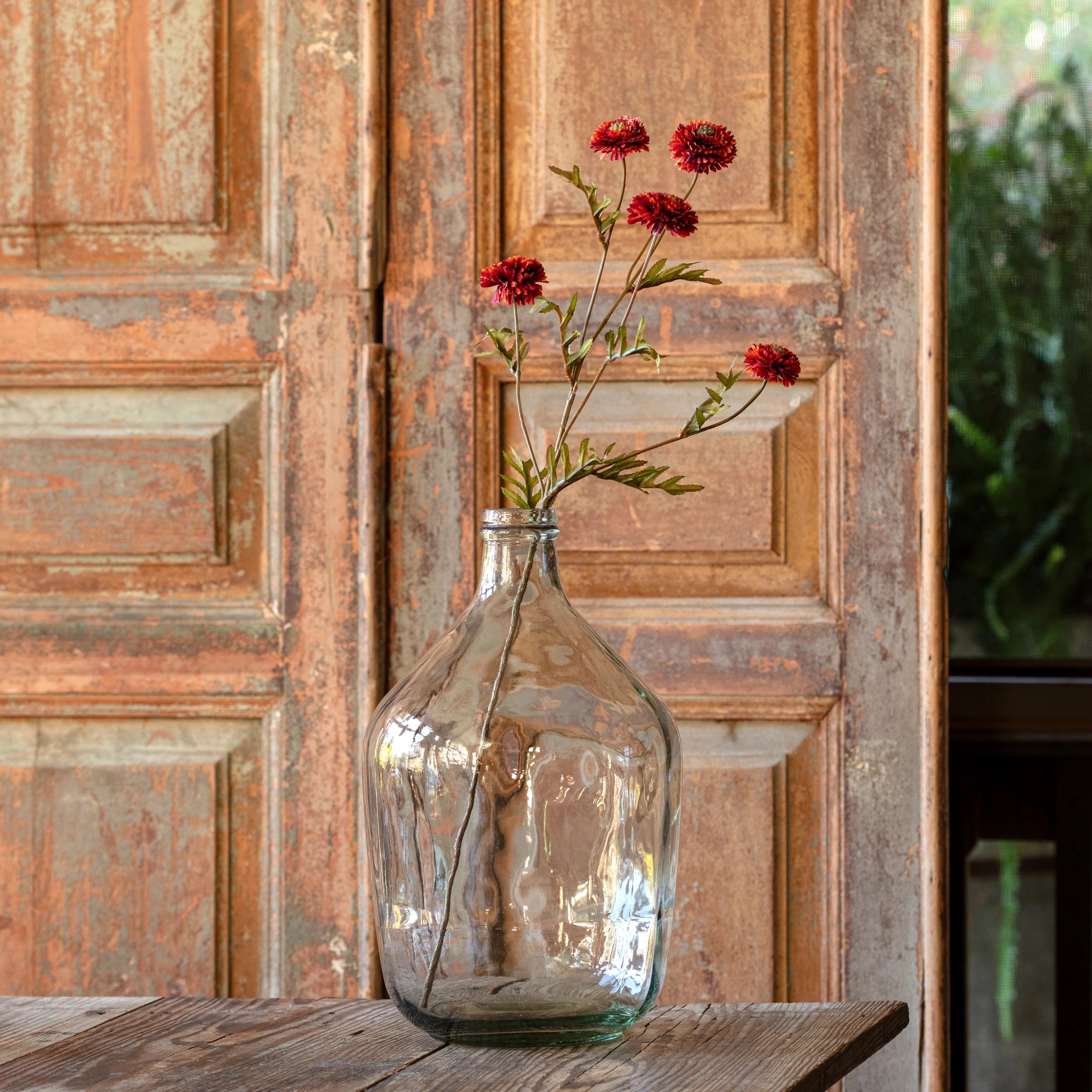 Aster Rust