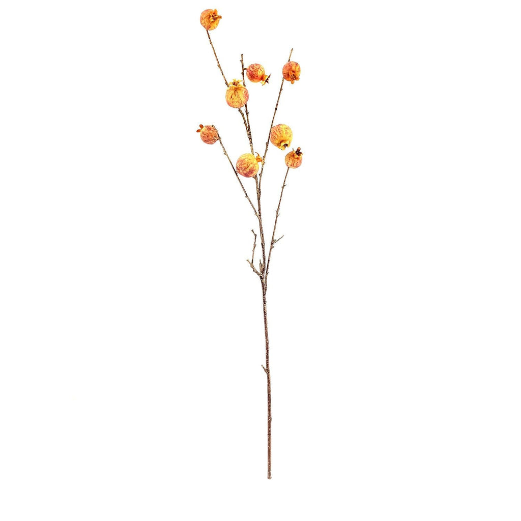 Pomegranate Branch Orange