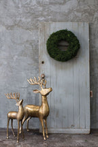 Reindeer 25"