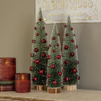 Ombre Bottlebrush Trees