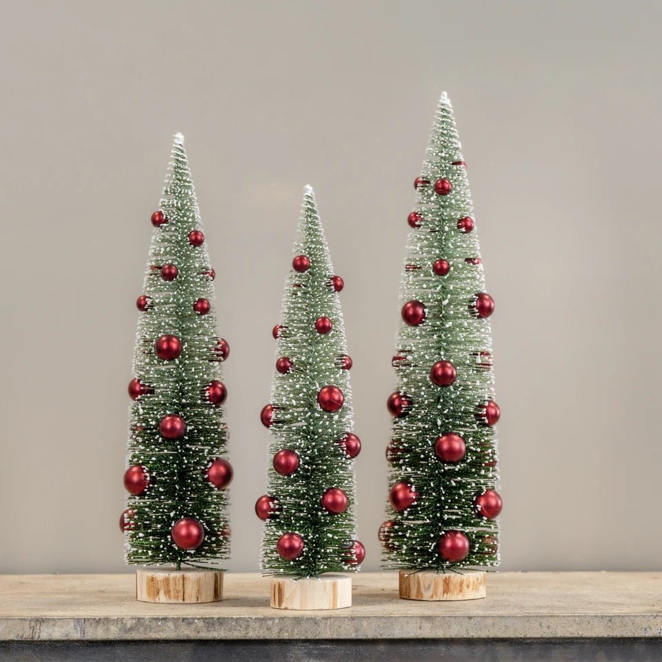 Ombre Bottlebrush Trees