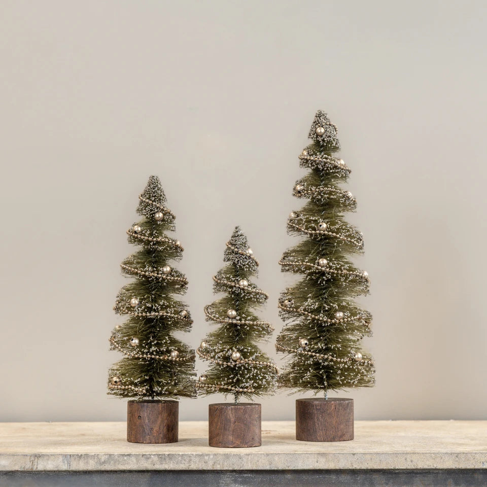 Spiral Cut Bottlebrush Trees