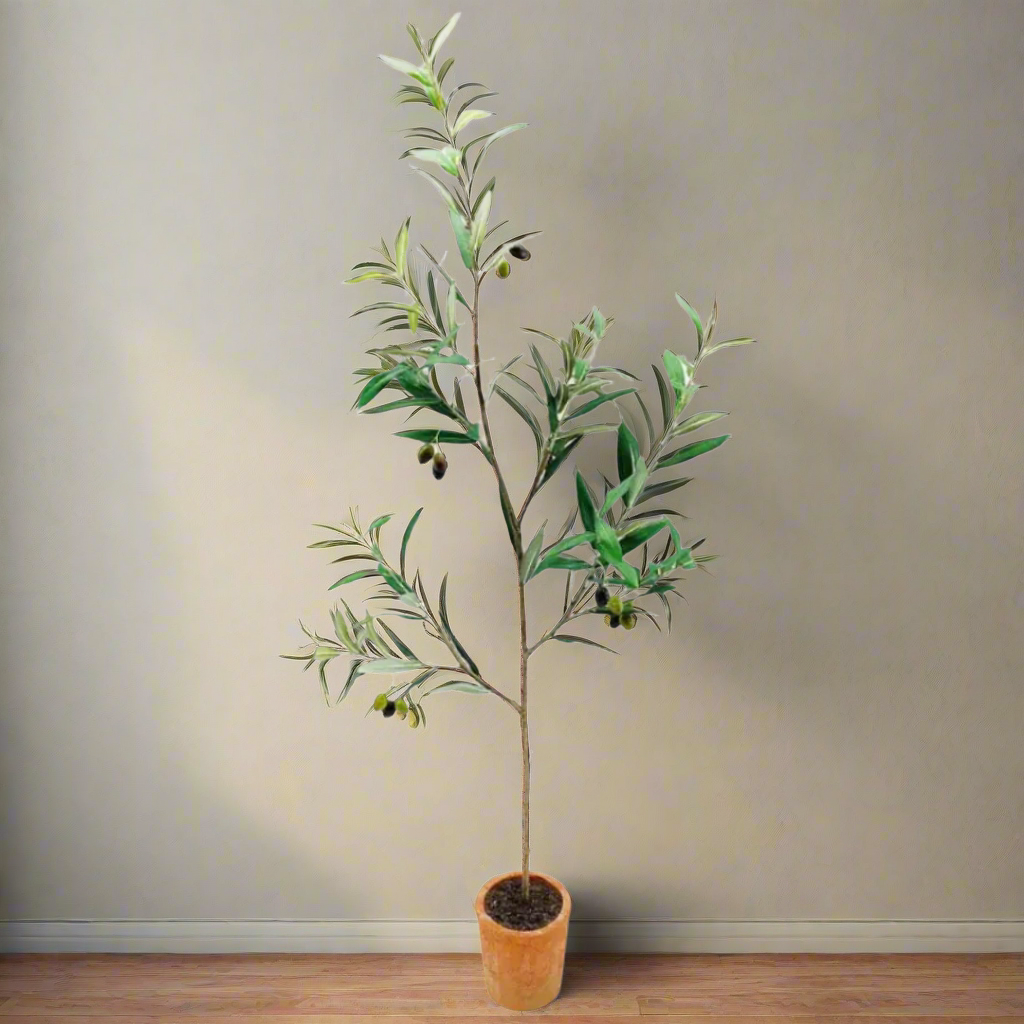 Ingresso Potted Olive Tree Plant Decor