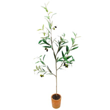 Ingresso Potted Olive Tree Plant Decor