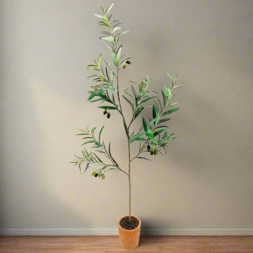 Ingresso Potted Olive Tree Plant Decor