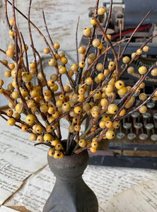 Mustard Berry Bush