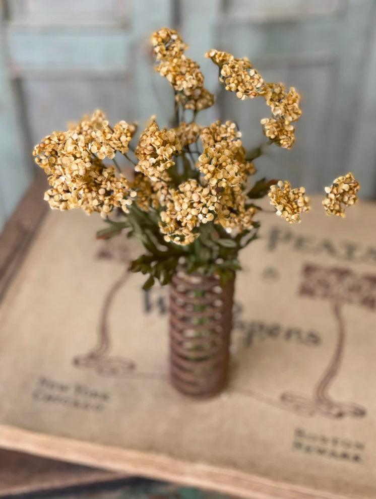 13" Fennel Flower Bundle