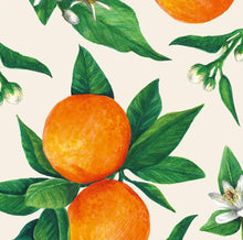 Orange Orchard Napkins