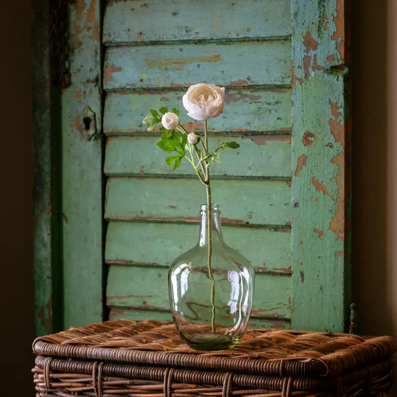 Ranunculus White