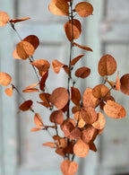 Penny Leaf Sprays