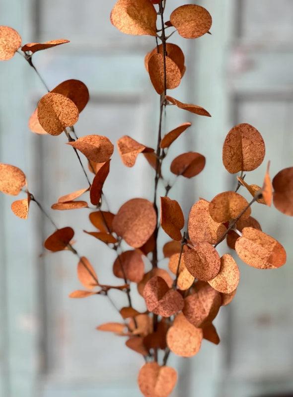 Penny Leaf Sprays