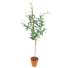 Piazza Potted Olive Tree Faux Plant Decor