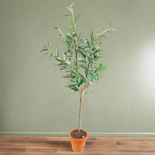Piazza Potted Olive Tree Faux Plant Decor