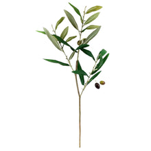 Piccolino Olive Stem Faux Plant Decor