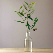 Piccolino Olive Stem Faux Plant Decor