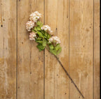 Pink_Snowball_Spray_Home_Decor_Cozy_Cottage_Fort_Collins_CO_2