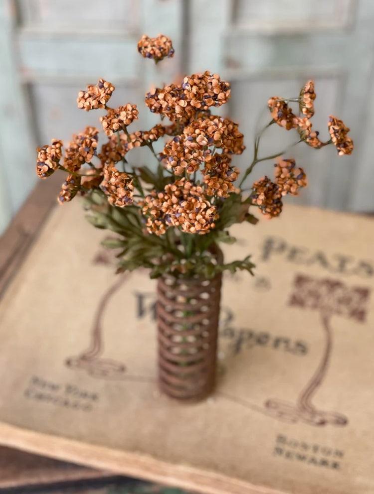 13" Fennel Flower Bundle