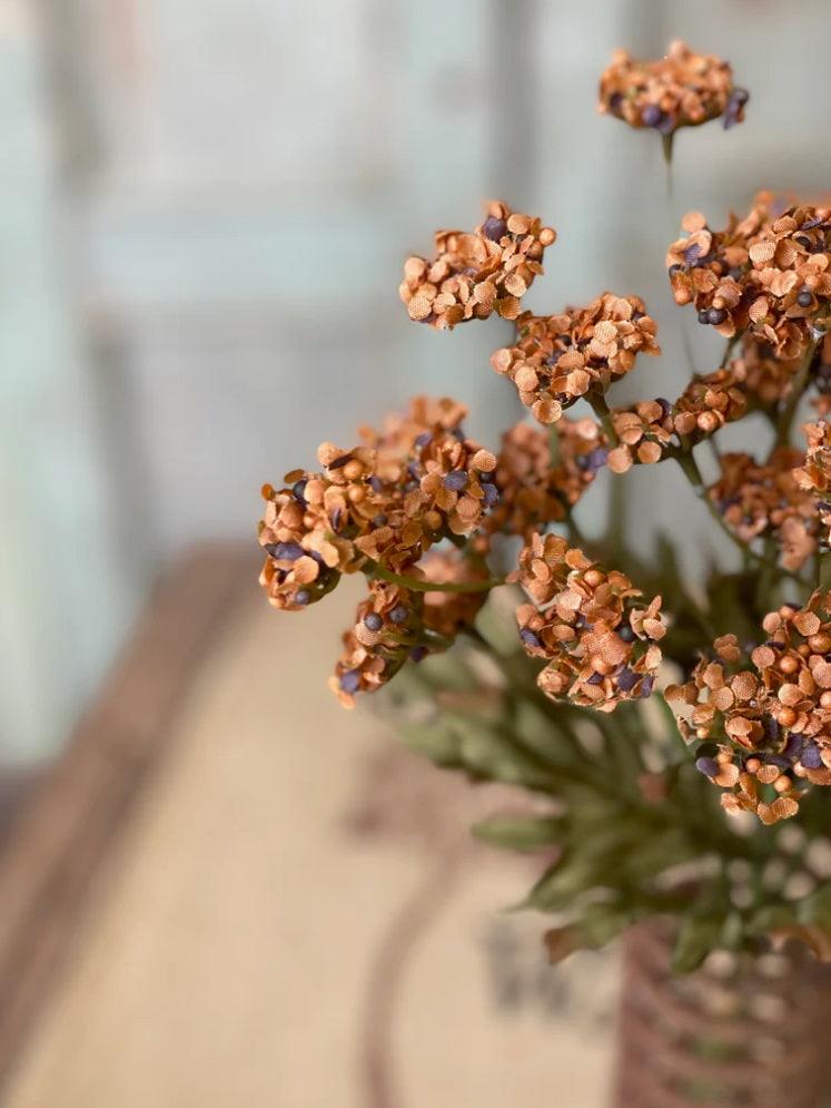 13" Fennel Flower Bundle