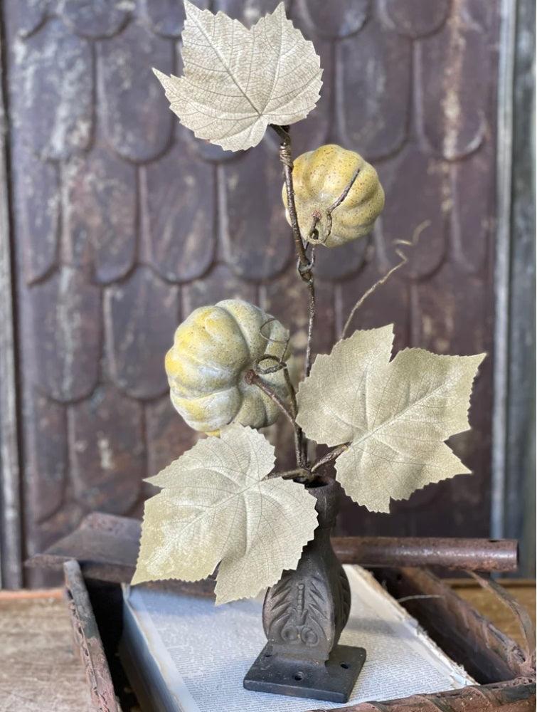 Vine Pumpkin Green