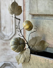 Vine Pumpkin Green