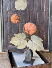 Orange Pumpkins Vine