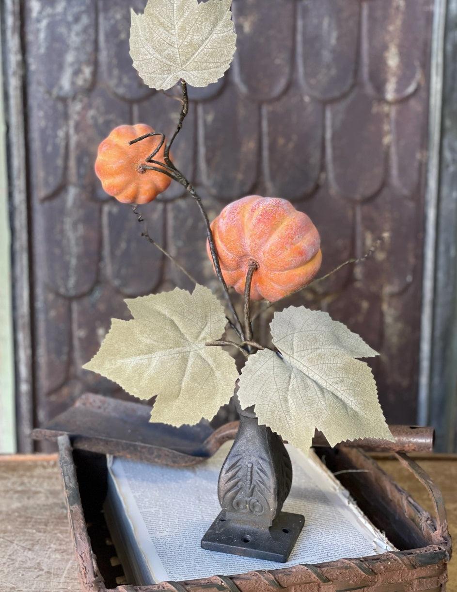 Orange Pumpkins Vine