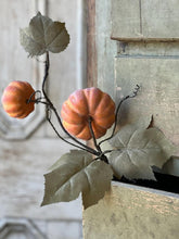 Orange Pumpkins Vine