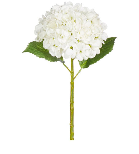    Real Touch White Hydrangea Cozy Cottage Co Fort Collins Colorado Home Decor
